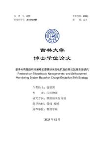 基于電荷激勵切換策略的摩擦納米發電機及自驅動監測系統研究