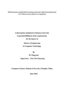 基于多實例多標簽學習與噪聲標簽學習的ANA熒光模式識別