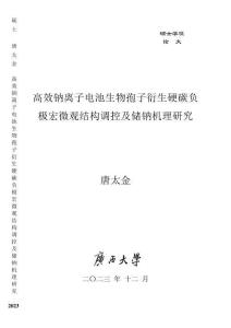 高效钠离子电池生物孢子衍生硬碳负极宏微观结构调控及储钠机理研究