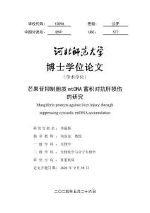 芒果苷抑制胞質(zhì)mtDNA蓄積對抗肝損傷的研究