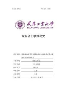 鐵基碳納米管雜化材料激活過硫酸鹽對水中復合污染的去除研究
