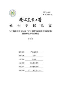 TCP轉錄因子TB1和TB1H調控玉米雌穗性別決定和分蘗形成的作用研究