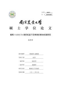 葡萄VvERECTA调控低温下花青素积累的机理研究