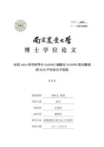 水稻ABA信號轉導中OsDMI3磷酸化NADPH氧化酶調控ROS產生的分子機制