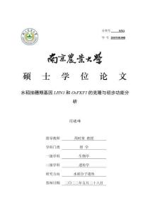 水稻抽穗期基因LHN1和OsFKF1的克隆與初步功能分析