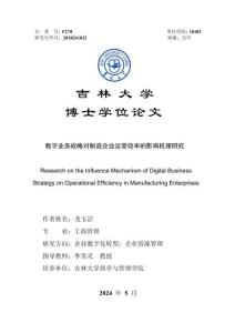 數字業務戰略對制造企業運營效率的影響機理研究