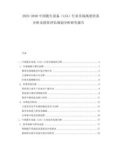2025-2030中國救生設(shè)備（LSA）行業(yè)市場現(xiàn)狀供需分析及投資評估規(guī)劃分析研究報告