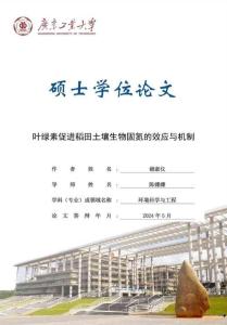 葉綠素促進稻田土壤生物固氮的效應與機制