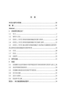 FUT2通過調控OLFM4巖藻糖基化修飾和表達抑制結腸癌細胞侵襲和轉移