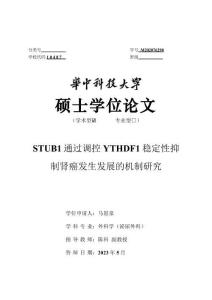 STUB1通過調控YTHDF1穩定性抑制腎癌發生發展的機制研究