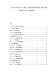 2025至2030中國自粘保護膜行業細分市場及應用領域與趨勢展望研究報告
