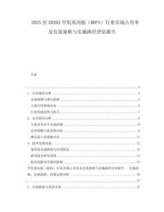 2025至20303甲氧基丙胺（MOPA）行業(yè)市場占有率及有效策略與實施路徑評估報告