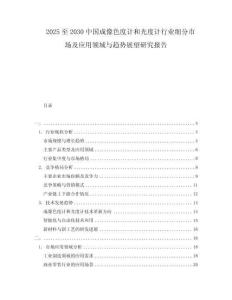2025至2030中國成像色度計和光度計行業細分市場及應用領域與趨勢展望研究報告