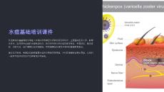 水痘的培訓(xùn)課件維語