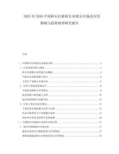 2025至2030中國碎石打樁機行業細分市場及應用領域與趨勢展望研究報告