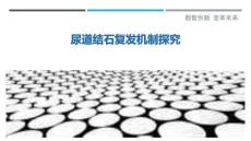 尿道结石复发机制探究-洞察剖析