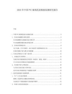 2025年中國PVC植絨托盤數據監測研究報告