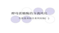 【食品飲料安全與質量】酵母蔗糖酶的分離純化