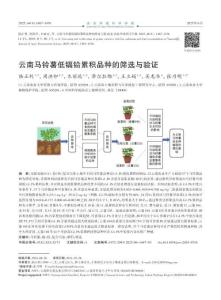 云南馬鈴薯低鎘鉛累積品種的篩選與驗證