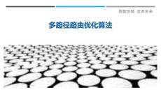 多路徑路由優(yōu)化算法最佳分析