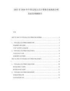 2025至2030年中國無線公話計費器市場現狀分析及前景預測報告