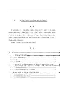 論新公司法下中小股東權益的法律保護