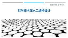 BIM技術在水工結構設計最佳分析