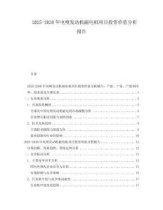 2025-2030年電噴發動機磁電機項目投資價值分析報告