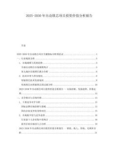 2025-2030年自動鎖芯項目投資價值分析報告