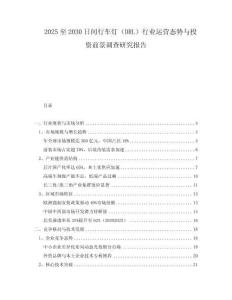 2025至2030日間行車燈（DRL）行業運營態勢與投資前景調查研究報告