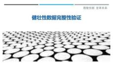 健壯性數據完整性驗證最佳分析