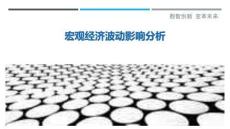 宏觀經濟波動影響分析最佳分析