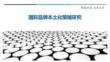 國際品牌本土化策略研究最佳分析