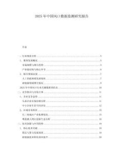 2025年中國風口數據監測研究報告