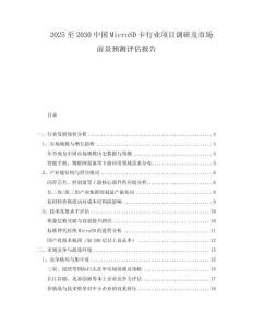 2025至2030中國MicroSD卡行業(yè)項目調(diào)研及市場前景預(yù)測評估報告