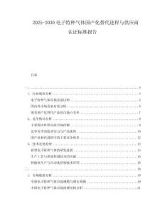 2025-2030電子特種氣體國產(chǎn)化替代進(jìn)程與供應(yīng)商認(rèn)證標(biāo)準(zhǔn)報告
