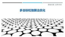 多目標松弛算法優(yōu)化最佳分析