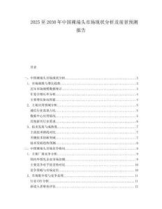 2025至2030年中國裸端頭市場現(xiàn)狀分析及前景預(yù)測報(bào)告