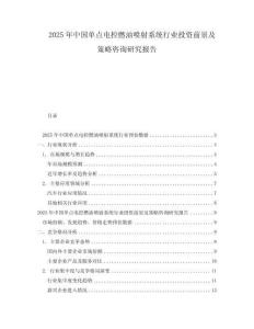 2025年中國單點電控燃油噴射系統行業投資前景及策略咨詢研究報告
