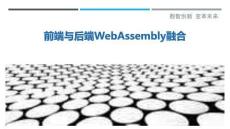 前端與后端WebAssembly融合最佳分析