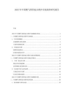 2025年中國燃氣四管底火烤爐市場調查研究報告