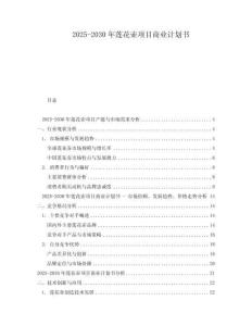2025-2030年蓮花壺項目商業計劃書