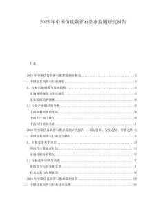 2025年中國仿真剁斧石數據監測研究報告