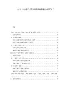 2025-2030年先導型調壓閥項目商業計劃書