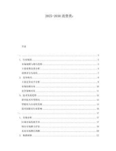 2025-2030消費(fèi)類：
