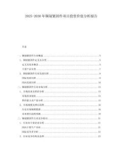 2025-2030年銅制緊固件項目投資價值分析報告