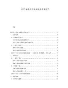 2025年中國石頭漆數(shù)據(jù)監(jiān)測報告
