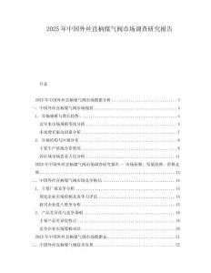 2025年中國外絲直柄煤氣閥市場調(diào)查研究報(bào)告