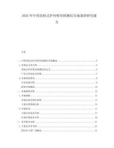 2025年中國直檢式爐襯壁厚探測儀市場調查研究報告