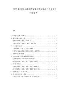 2025至2030年中國提花毛料市場現狀分析及前景預測報告